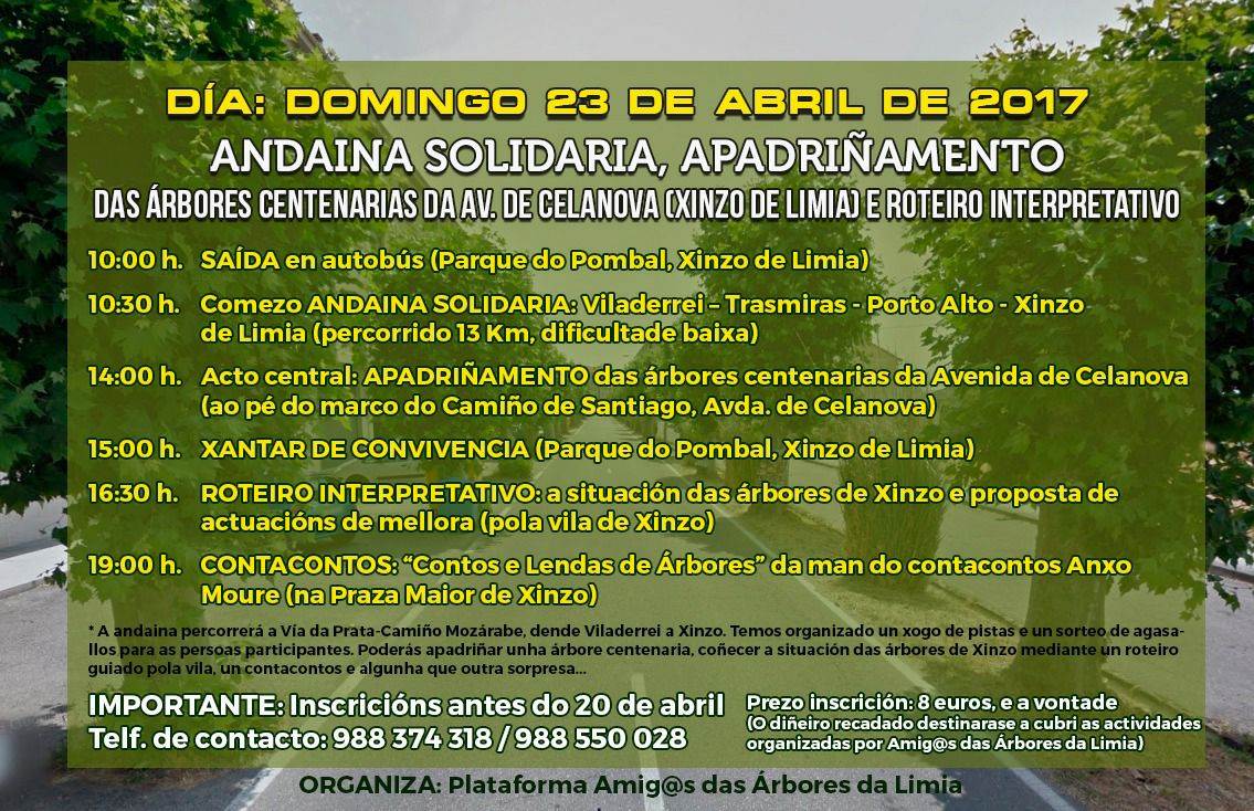 Xinzo da Limia, Andaina