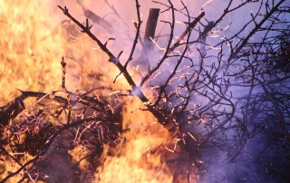Incendio forestal