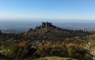 san mamede, incendio