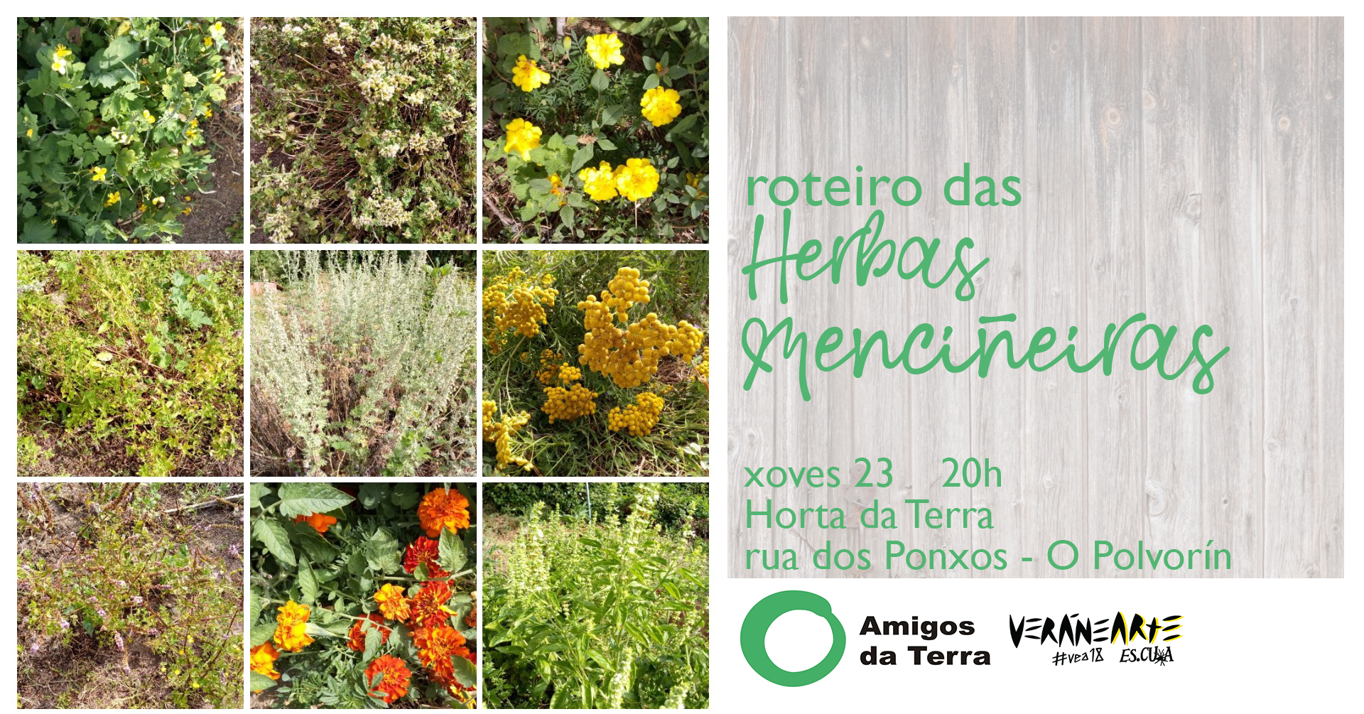 veranearte herbas 