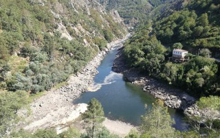 rio sil
