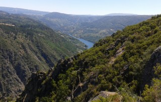 ribeira sacra