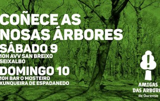 arbores