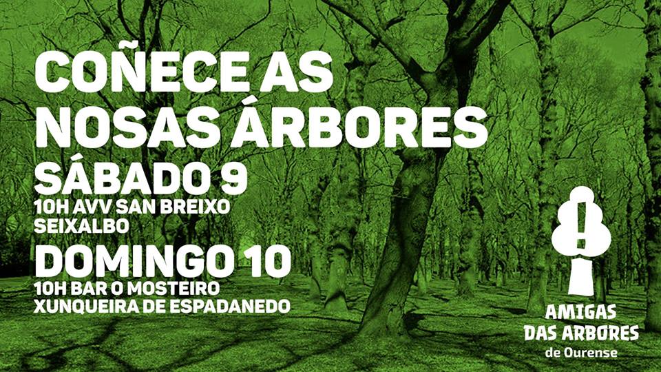 arbores