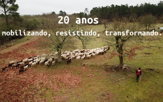 20 anos