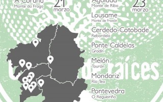 deseucaliptizacion