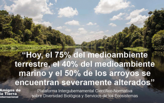 ipbes