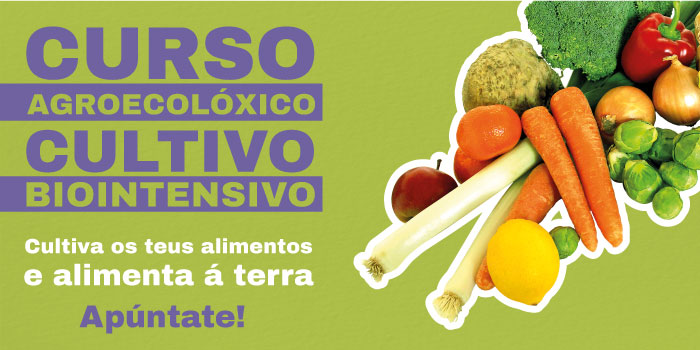 Biointensivo 2